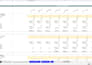 develop financial models for investor and bank loans